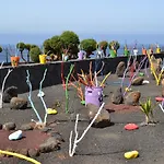 Vik Coral Otel 3*