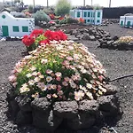 Vik Coral 3*