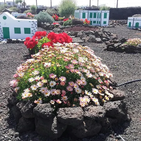 Vik Coral 3*